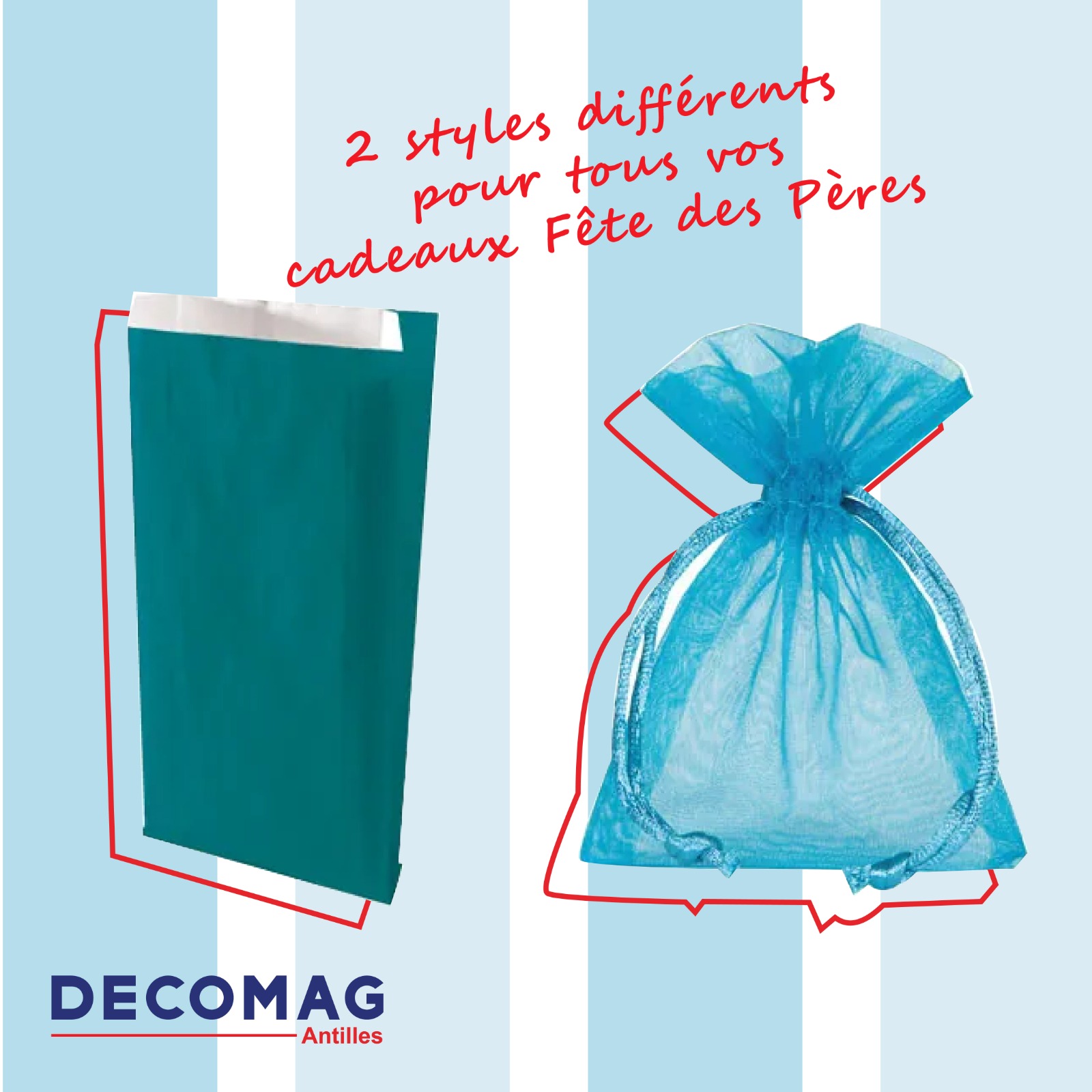 Pochette et Sac organza